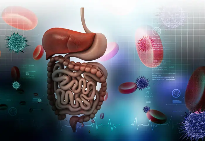 Pachan Kriya Sudharnay Ke Tips: Healthy Digestion Aur Overall Health Ke Liye 2 4
