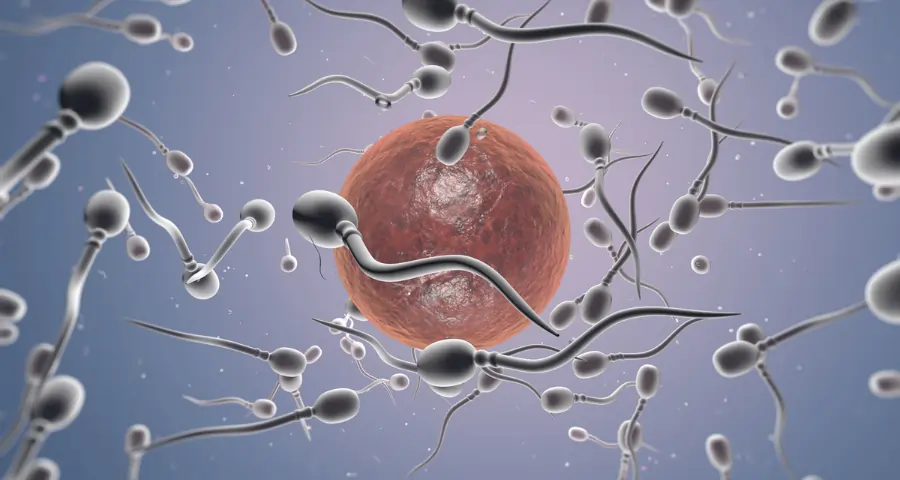 Sperm Kitna Banta Hai: जानें एक दिन में कितने स्पर्म बनते हैं और इससे जुड़ी पूरी जानकारी 2 1 1