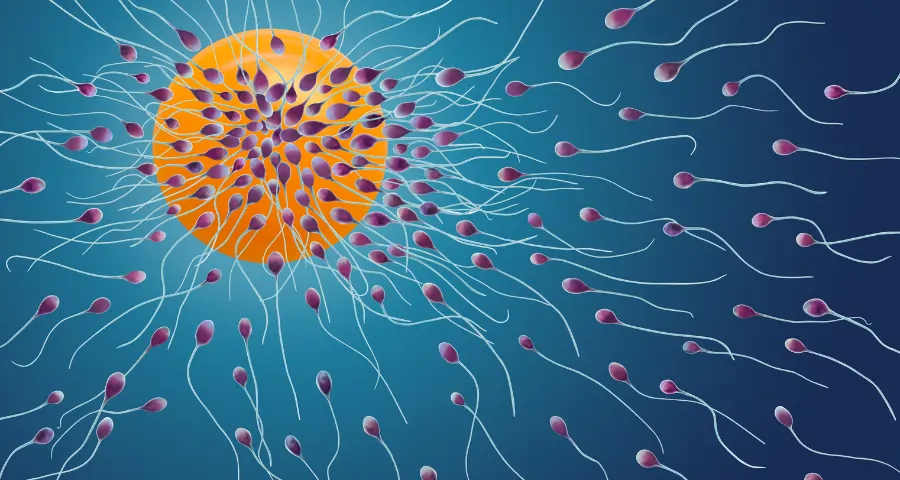 Sperm Kitna Banta Hai: जानें एक दिन में कितने स्पर्म बनते हैं और इससे जुड़ी पूरी जानकारी 5 3 1