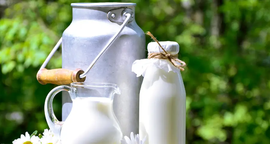 Milk for Weight Gain: When and How to Drink It for Maximum Results 1 drink milk for weight gain