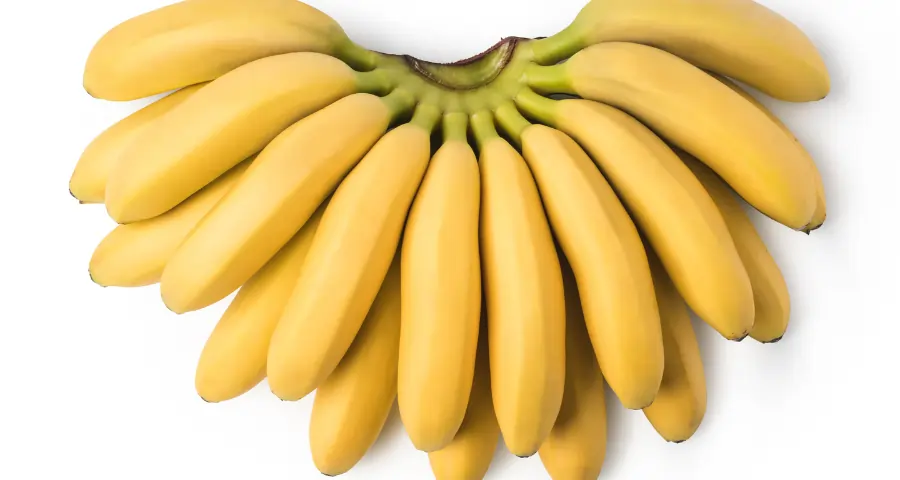 Khaali Pet Banana Khana Sahi Ya Galat? Jaane Aapke Liye Kya Best Hai! 4 Untitled design 6