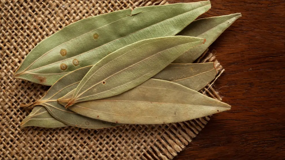 Tej Patta ke Health Benefits: Natural Remedy for Digestion & Immunity 1 Tej Patta