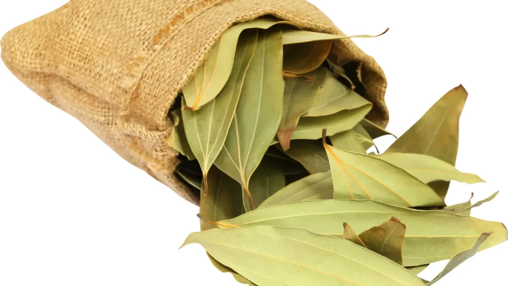 Tej Patta ke Health Benefits: Natural Remedy for Digestion & Immunity 4 Untitled design 51