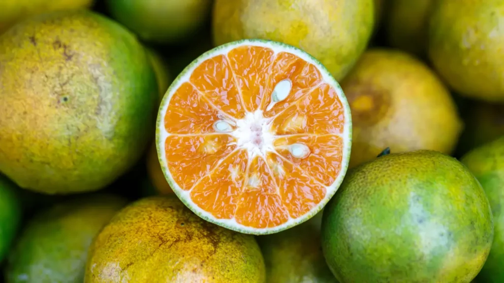 Tangerine vs Orange: Sehat ke Liye Kaun Hai Zyada Faydamand? 1 Tangerine vs Orange