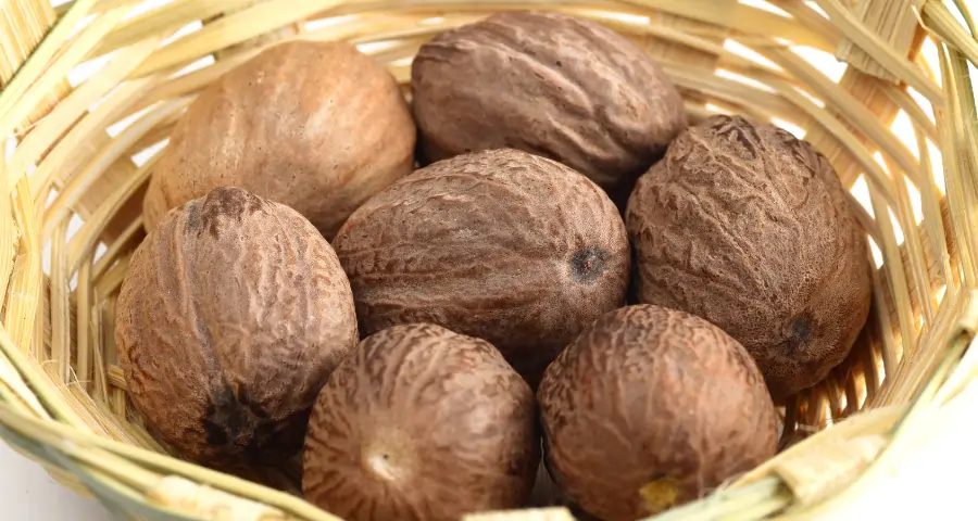 Jathikai (Nutmeg) Benefits: Uses, and Traditional Remedies 1 Jathikai