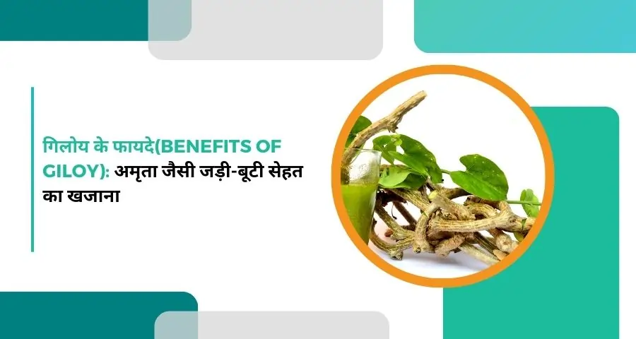 Benefits of Giloy