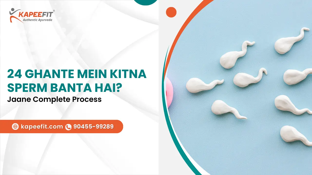 24 Ghante Mein Kitna Sperm Banta Hai