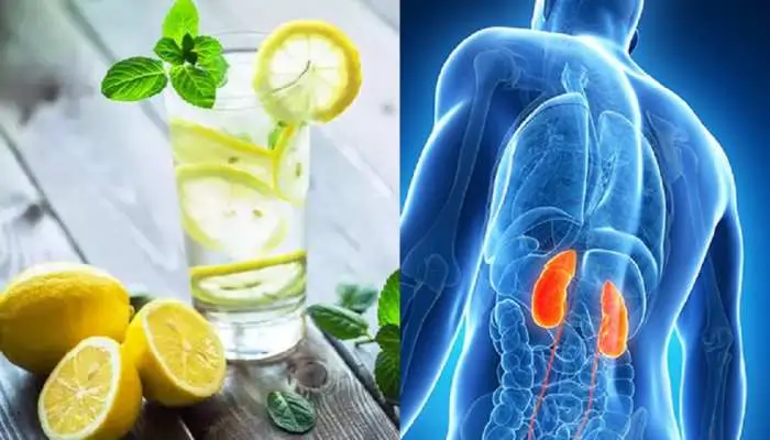 Lemon Water ka Liver aur Kidney Health par Impact