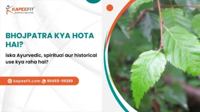 Kapeefit - Ayurvedic Products & Online Consultation 50 Bhojpatra Kya Hota Hai