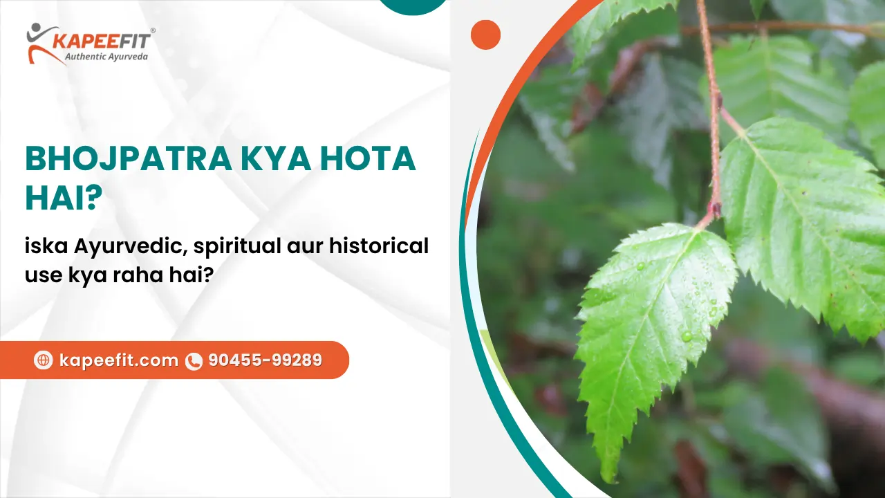 Bhojpatra Kya Hota Hai