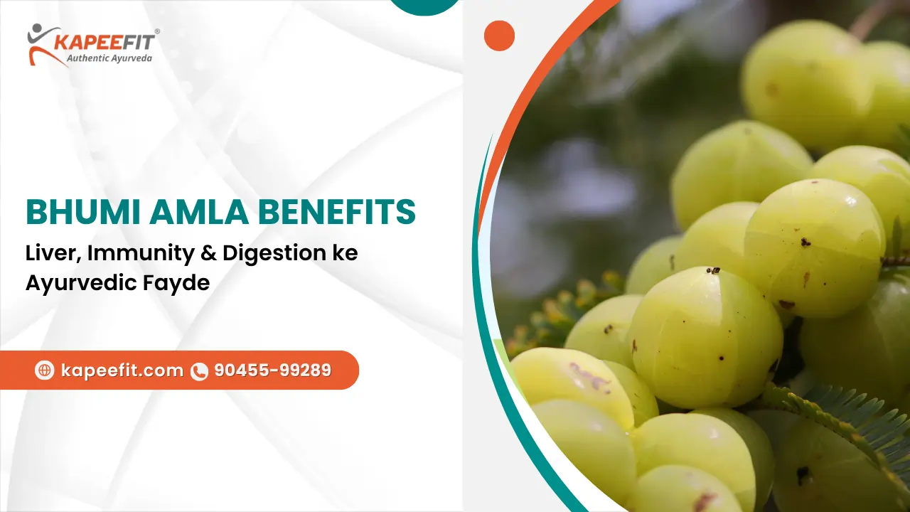 Bhumi Amla Benefits