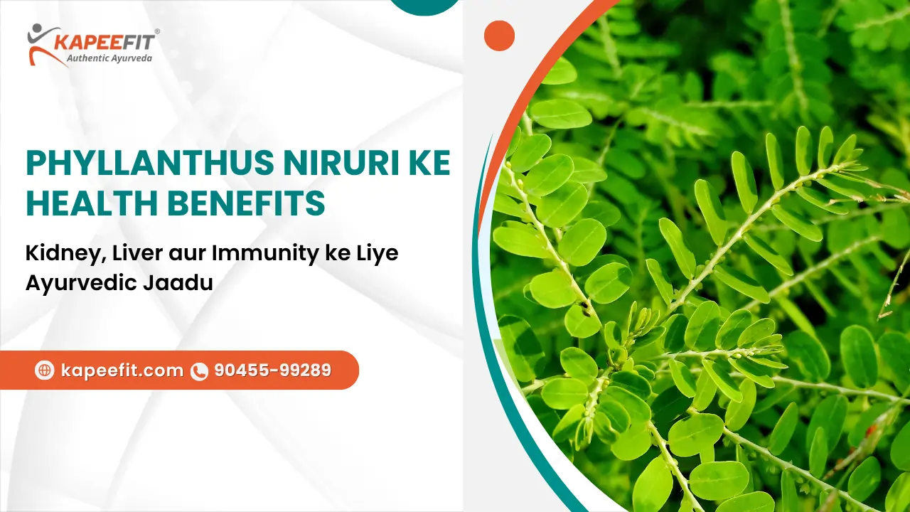 Phyllanthus Niruri ke Health Benefits