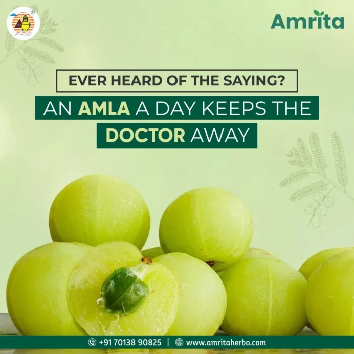 amla post 2