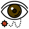 pngwing.com 6 1 1