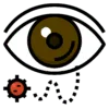 pngwing.com 6 1 1