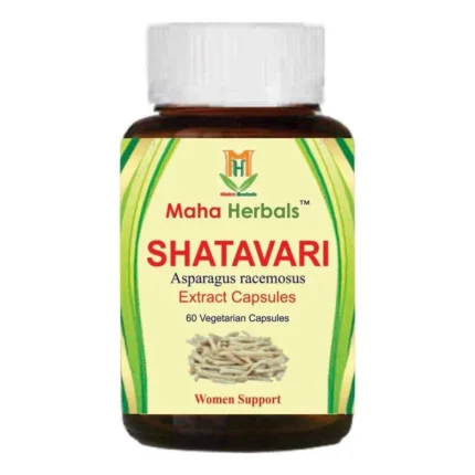 Shatavari Extract Capsules