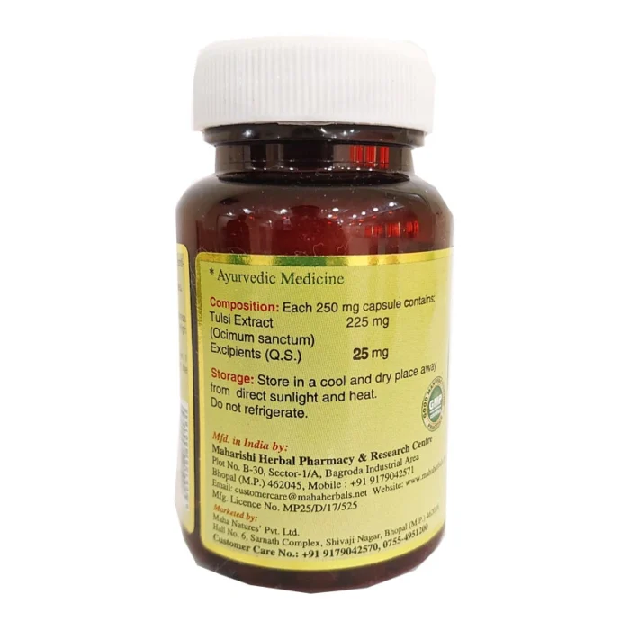 Maha Herbals Tulsi Extract Capsules - 60 Caps for Infections and Asthma - Image 3