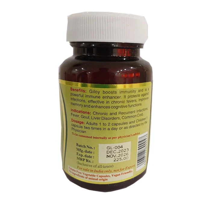 Maha Herbals Giloy Extract Capsules - 60 Caps for Chronic Fever - Image 2