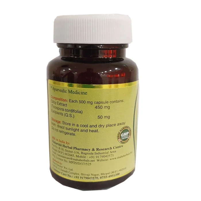 Maha Herbals Giloy Extract Capsules - 60 Caps for Chronic Fever - Image 3