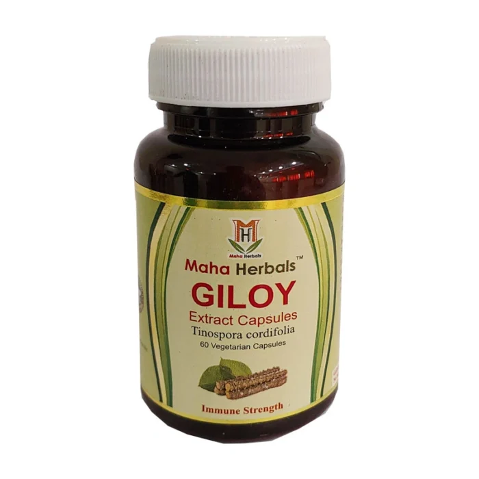 Maha Herbals Giloy Extract Capsules - 60 Caps for Chronic Fever - Image 4