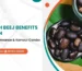 Kaunch Beej Benefits for Men